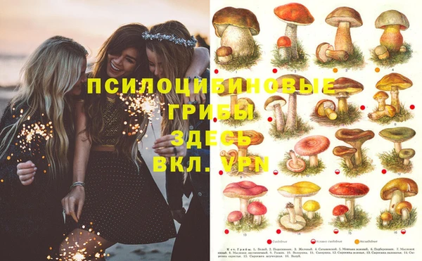 PSILOCYBIN Баксан