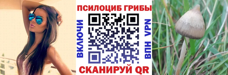 Галлюциногенные грибы ЛСД  Межгорье 
